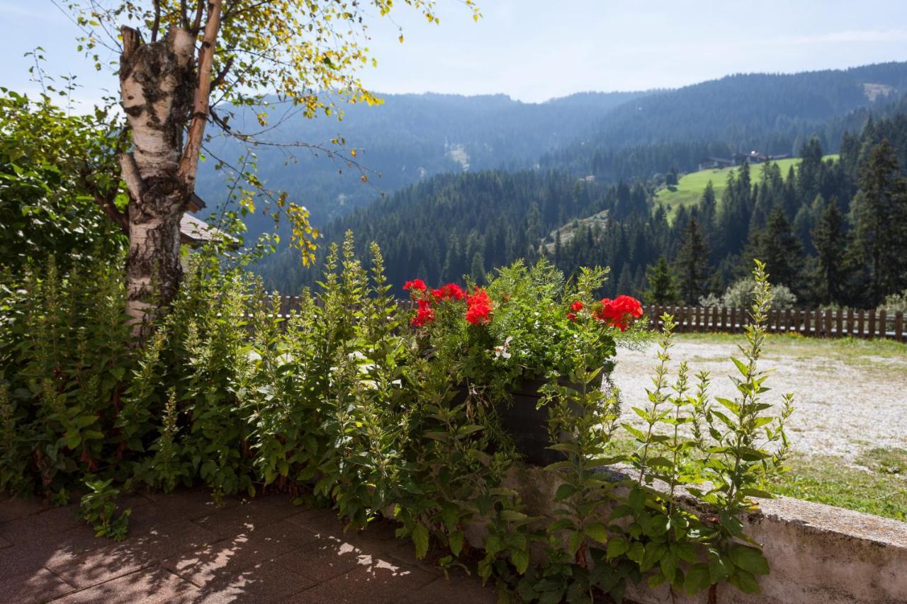 Alpenspitz Appartements - Garni - B&B Racines Exteriér fotografie