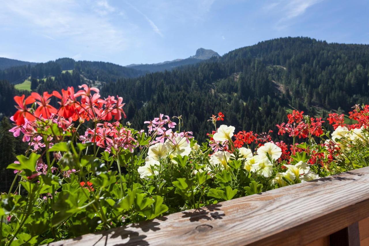 Alpenspitz Appartements - Garni - B&B Racines Exteriér fotografie